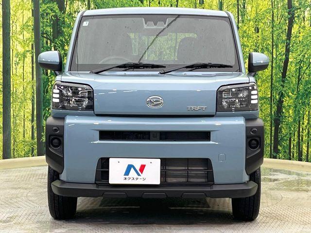 タフト（新潟県新潟市南区）画像14