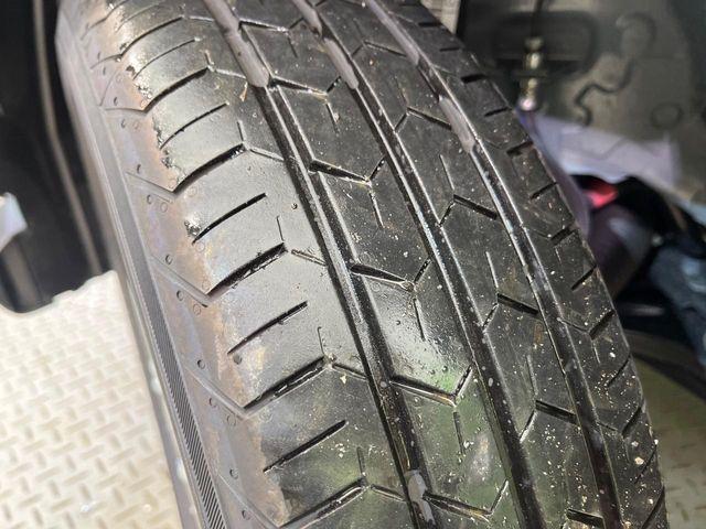 タフト（新潟県新潟市南区）画像26