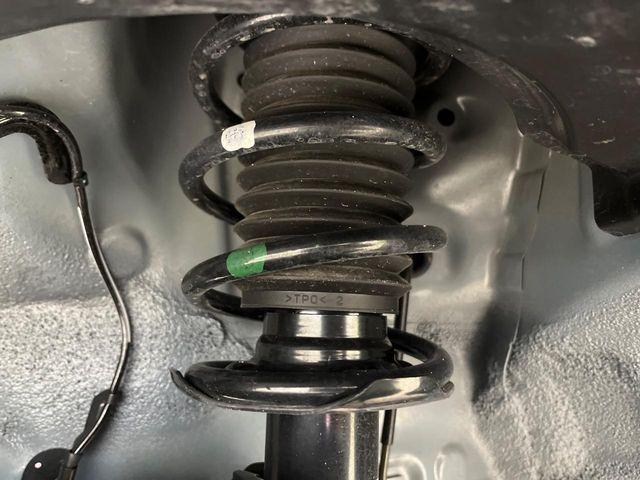 タフト（新潟県新潟市南区）画像27