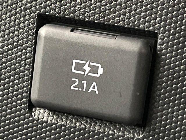 タフト（新潟県新潟市南区）画像54