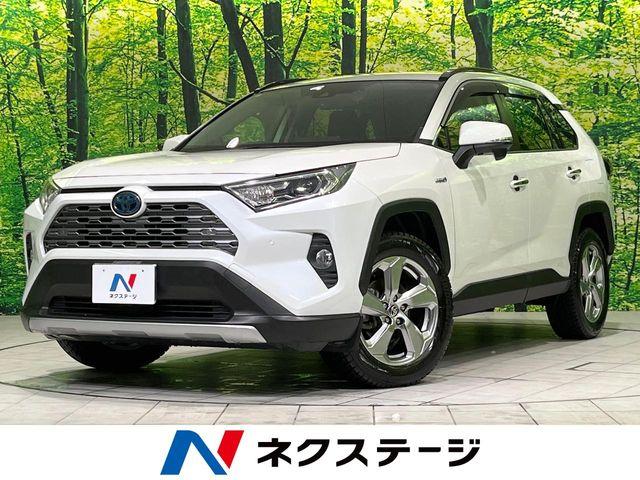 ＲＡＶ４
