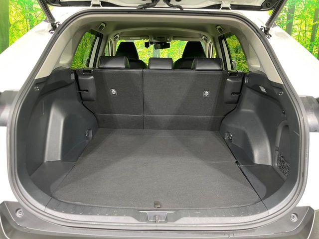 ＲＡＶ４（新潟県長岡市）画像10