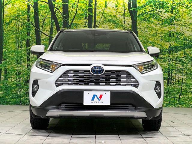 ＲＡＶ４（新潟県長岡市）画像14