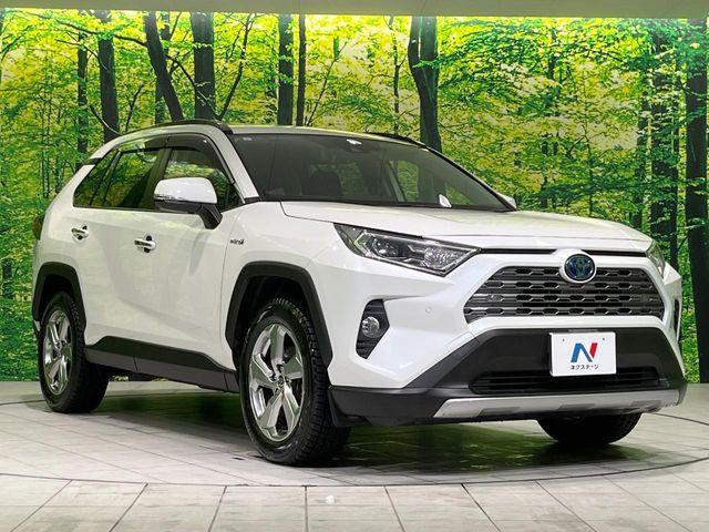 ＲＡＶ４（新潟県長岡市）画像16