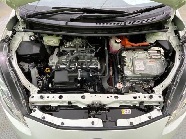 アクア（新潟県新潟市南区）