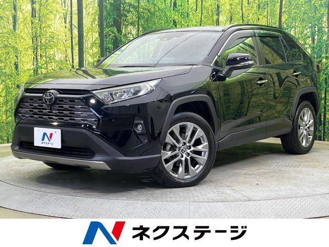 ＲＡＶ４（新潟県新潟市南区）
