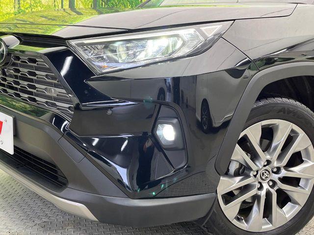 ＲＡＶ４（新潟県新潟市南区）