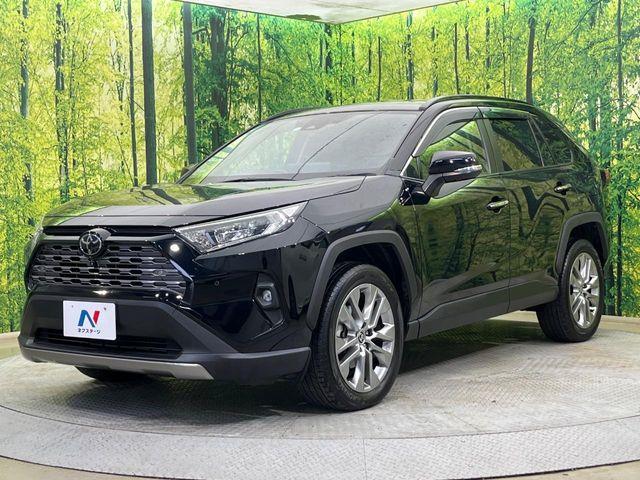 ＲＡＶ４（新潟県新潟市南区）