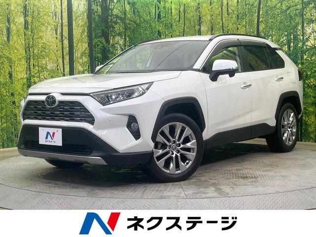 ＲＡＶ４（新潟県新潟市南区）