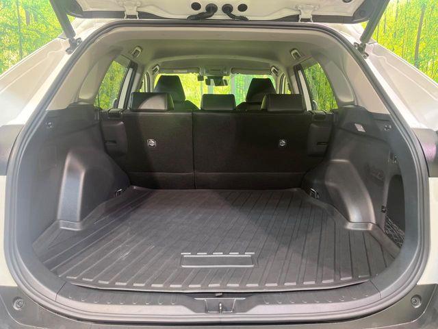 ＲＡＶ４（新潟県新潟市南区）