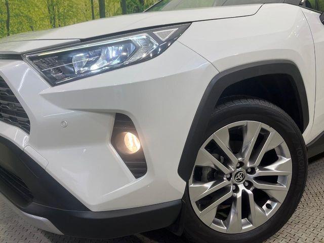 ＲＡＶ４（新潟県新潟市南区）