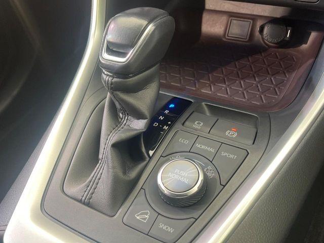 ＲＡＶ４（新潟県新潟市南区）