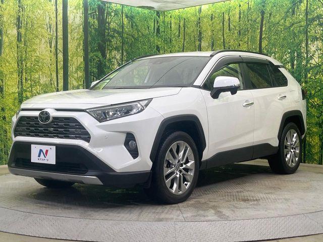 ＲＡＶ４（新潟県新潟市南区）