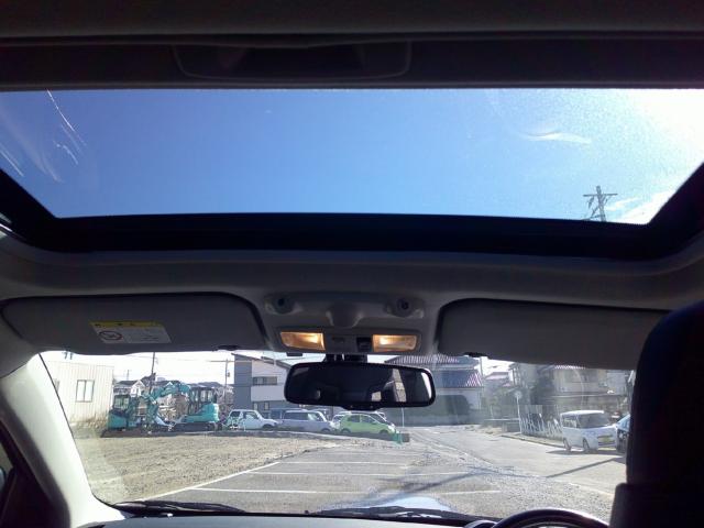 ランサー(新潟県新潟市西区)