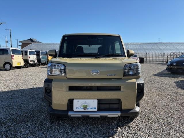 タフト（新潟県新潟市江南区）画像5