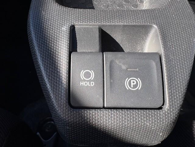 タフト（新潟県新潟市江南区）画像15