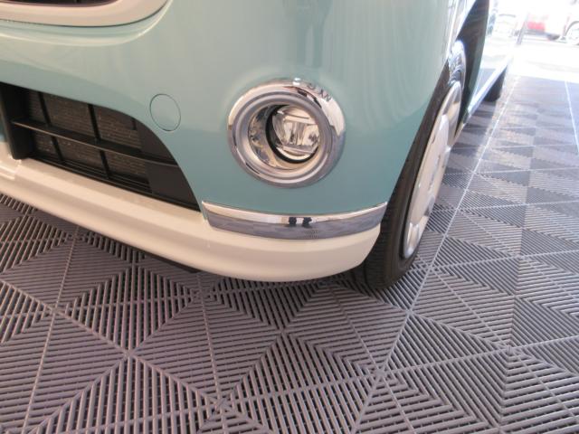 ムーヴキャンバス（新潟県新潟市南区）