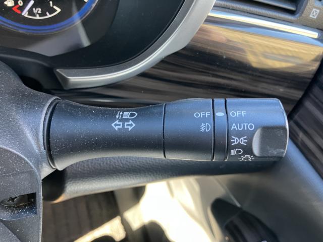 エルグランド（新潟県長岡市）画像31