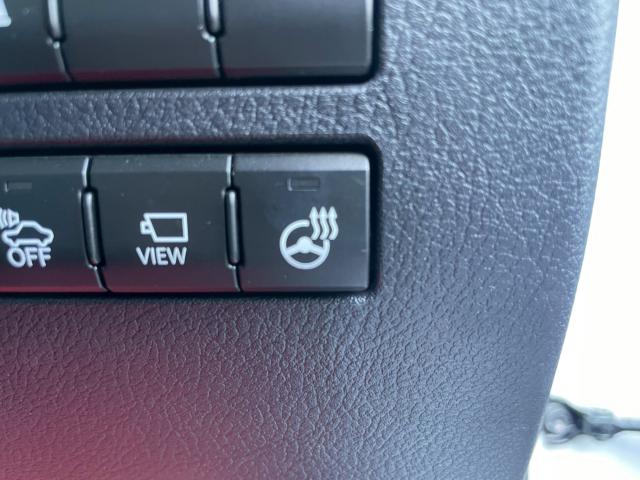 レクサスＮＸ（新潟県新潟市南区）画像46