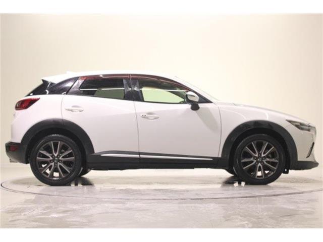 CX-3（新潟県新潟市東区）画像15