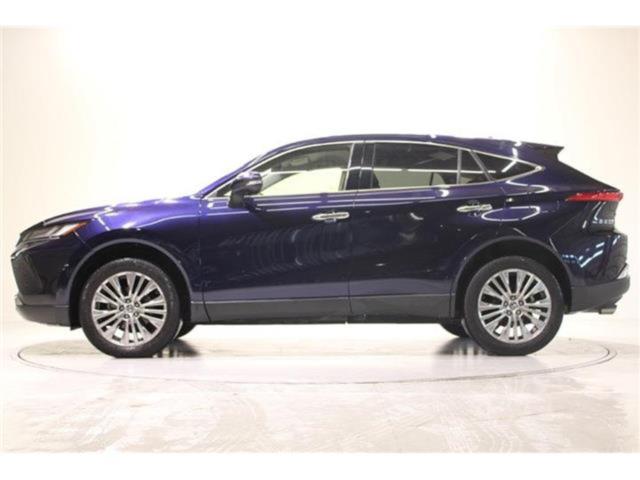 ハリアー（新潟県新潟市東区）画像11