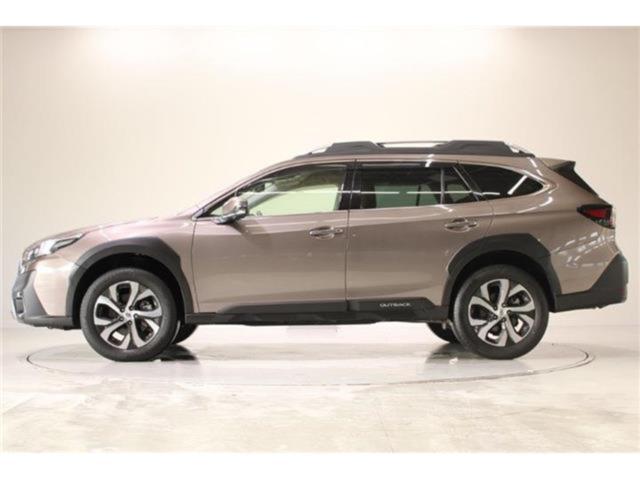 アウトバック（新潟県新潟市東区）画像11