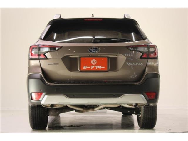 アウトバック（新潟県新潟市東区）画像13