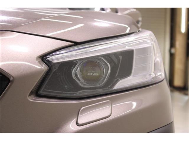 アウトバック（新潟県新潟市東区）画像17