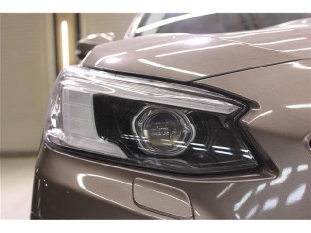 アウトバック（新潟県新潟市東区）画像19