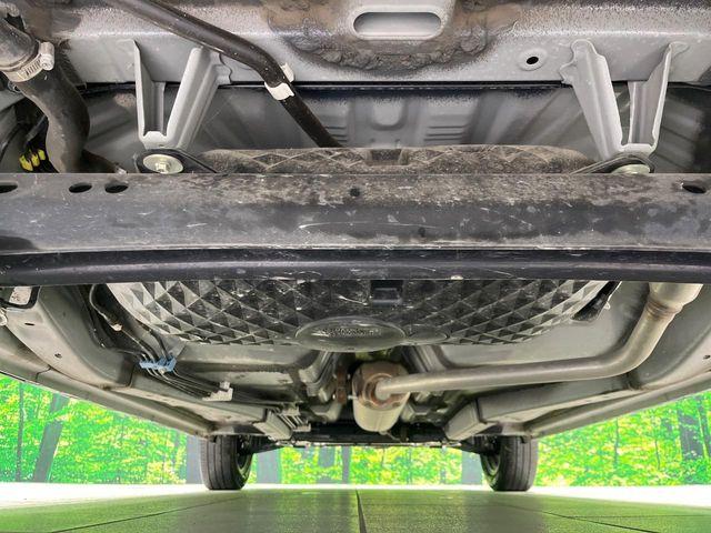 タフト（新潟県長岡市）画像19