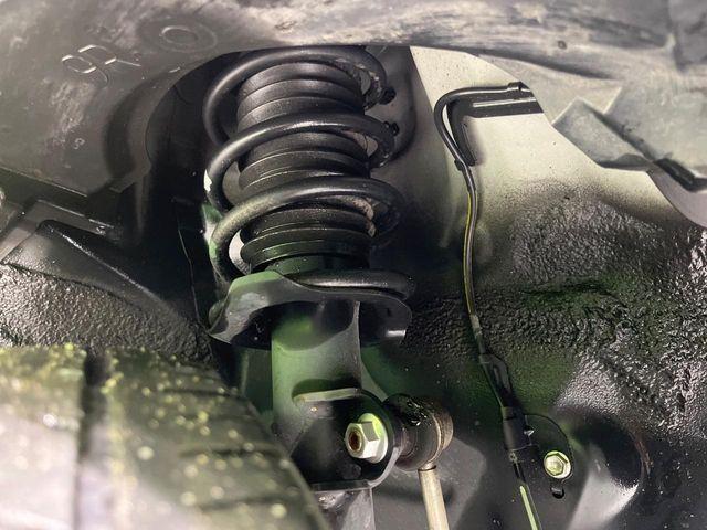 タフト（新潟県長岡市）画像20