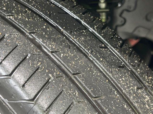 タフト（新潟県長岡市）画像21