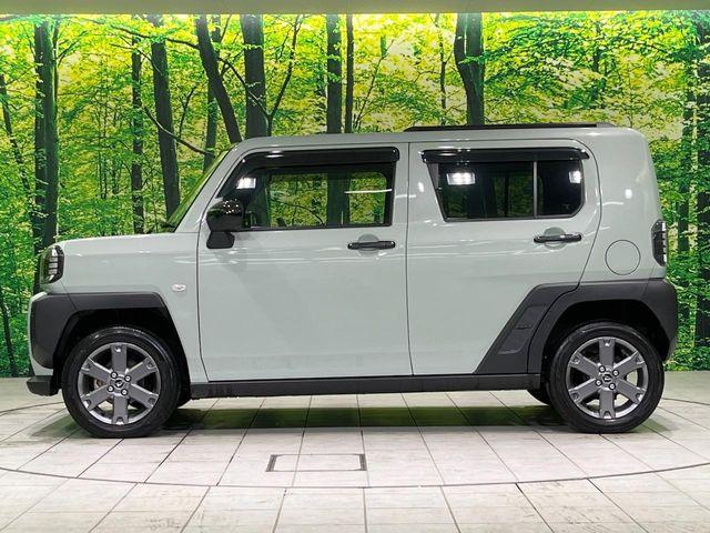 タフト（新潟県長岡市）画像27