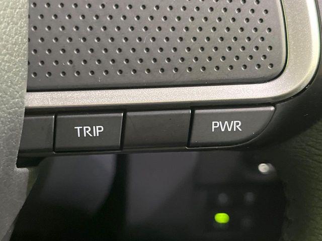 タフト（新潟県長岡市）画像37