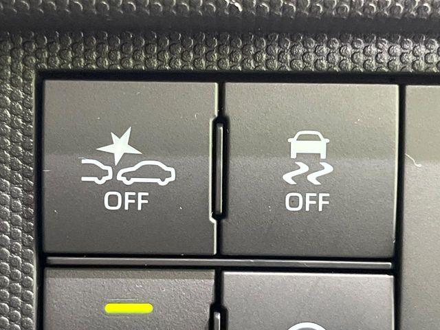 タフト（新潟県長岡市）画像47