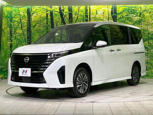 セレナ（新潟県長岡市）画像25