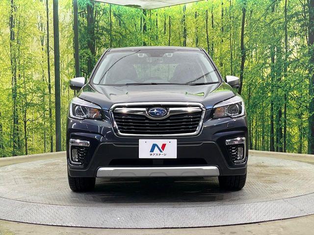 フォレスター（新潟県新潟市南区）画像14