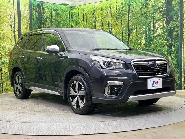 フォレスター（新潟県新潟市南区）画像16