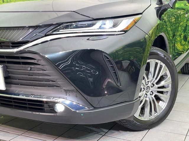 ハリアー（新潟県新潟市東区）