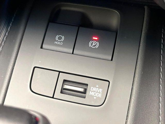 ハリアー（新潟県新潟市東区）