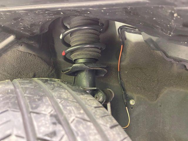 タフト（新潟県新潟市南区）