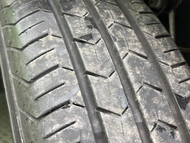 タフト（新潟県新潟市南区）