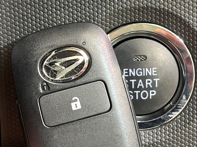 タフト（新潟県新潟市南区）