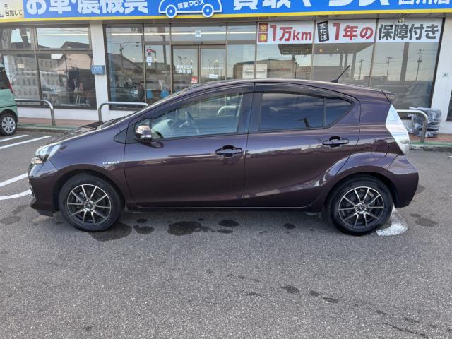 アクア（新潟県新潟市西蒲区）