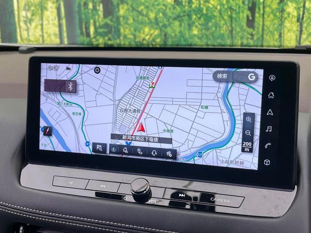 エクストレイル（新潟県新潟市南区）