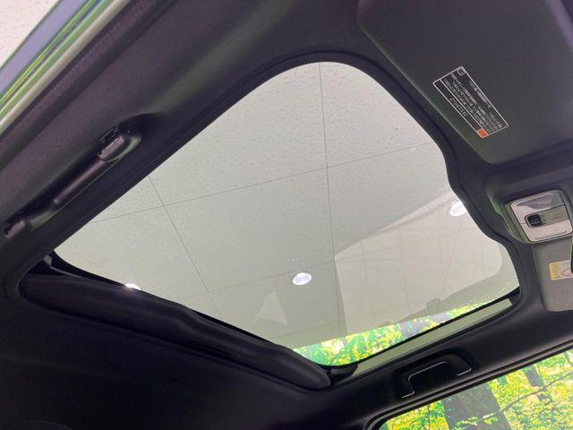 タフト(新潟県長岡市)