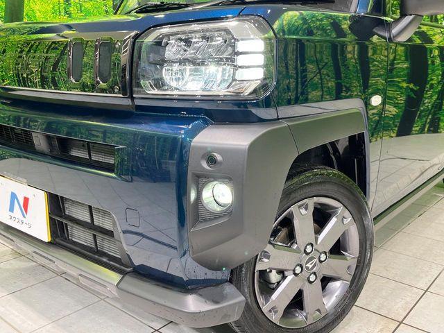 タフト(新潟県長岡市)