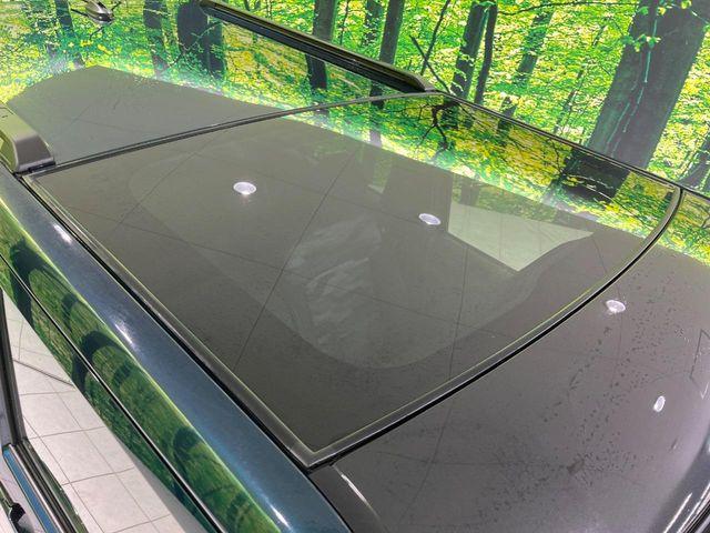 タフト(新潟県長岡市)