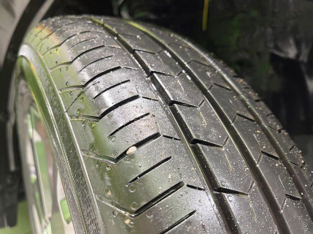 タフト(新潟県長岡市)