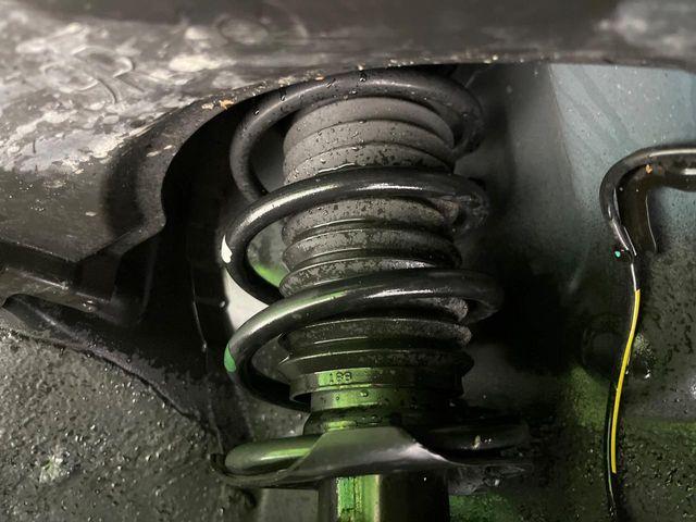 タフト(新潟県長岡市)